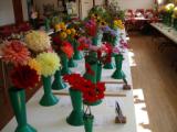 Catisfield 
         Horticultural Society Autumn Show 2004  
